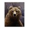 Stupell Industries Surprised Bear Portrait Canvas Wall Art Design by Rod Lawrence